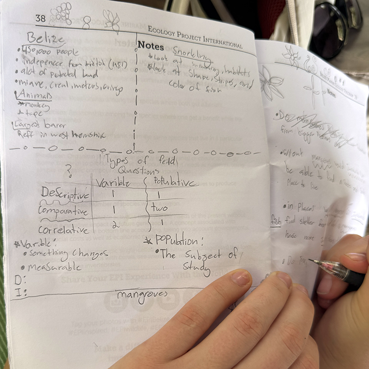 Research Notes